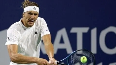 আলেকজান্ডার জাভেরেভ জার্মানিকে ২০২৫ ডেভিস কাপের সেমিফাইনালে নিয়ে গেছেন