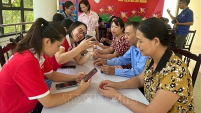 Цифрова грамотність – ефективне рішення у впровадженні цифрової трансформації