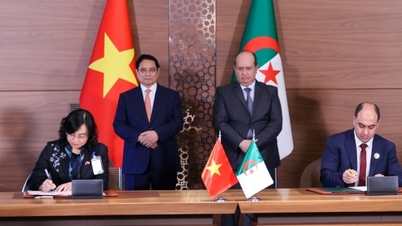 សកម្មភាពរបស់អនុរដ្ឋមន្ត្រី Phan Thi Thang ក្នុងដំណើរទស្សនកិច្ចរបស់នាយករដ្ឋមន្ត្រី Pham Minh Chinh នៅអាល់ហ្សេរី