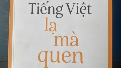 Vietnamca garip ama tanıdık