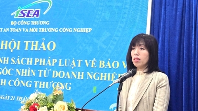 គោលនយោបាយបរិស្ថានដ៏ល្អឥតខ្ចោះ សំឡេងពីអាជីវកម្មក្នុងវិស័យឧស្សាហកម្ម និងពាណិជ្ជកម្ម