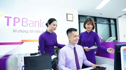 TPBank - cea mai puternică bancă din Vietnam în 2025