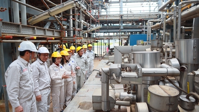 هیئت نمایندگی وزارت صنعت و تجارت با BSR همکاری می‌کند: ارتقای همکاری در علم و فناوری، نوآوری و تحول دیجیتال