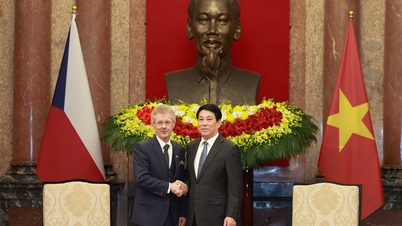 វៀតណាម-សាធារណរដ្ឋឆេកជំរុញកិច្ចសហប្រតិបត្តិការលើគ្រប់វិស័យ សំដៅបង្កើនទំហំពាណិជ្ជកម្ម