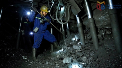 Стратегия TKV по расширению зоны эксплуатации