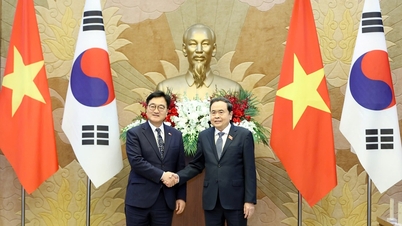 Las Asambleas Nacionales de Vietnam y Corea del Sur coinciden en muchas orientaciones de cooperación importantes.