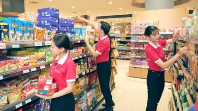 Der Einzelhandel erlebt angesichts der steigenden Nachfrage nach hochqualifizierten Arbeitskräften einen Aufschwung.