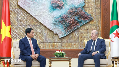 A Vietnám–Algéria stratégiai partnerség létrehozásáról szóló közös nyilatkozat teljes szövege