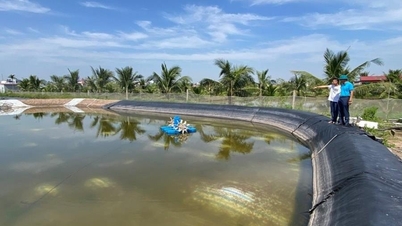 ឧស្សាហកម្មវារីវប្បកម្មកំពុងមានបញ្ហានៅ Duong Kinh