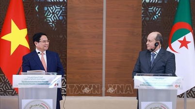 Joint Statement on the Establishment of Strategic Partnership between Vietnam and Algeria