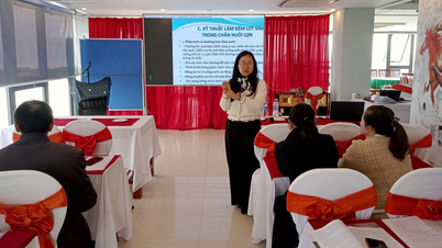 জৈব শূকর পালন জৈব নিরাপত্তা নিশ্চিত করে