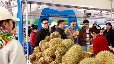 Sức hút nông sản Việt