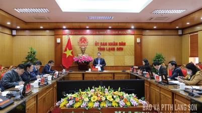 El Comité Popular Provincial celebró una reunión para evaluar la ejecución del proyecto del Complejo Deportivo Provincial.