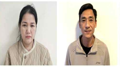 Дело о дуриане: 17 руководителей бизнеса привлечены к ответственности