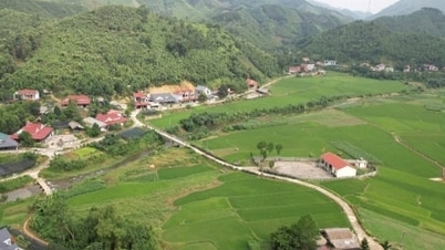 Quy Mong reaguje na přírodní katastrofy a chrání zlaté roční období