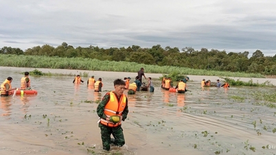 Grănicerii îi ajută pe oameni să recolteze produse agricole pentru a scăpa de inundații