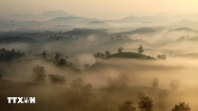 Lenyűgözi a Long Coc tája - Vietnam egyik legszebb, tál alakú tea-dombja