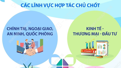 Vietnam és Algéria megállapodott az együttműködés előmozdításában kulcsfontosságú területeken