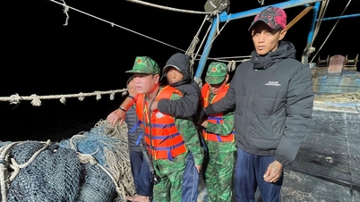 Assistance rapide aux marins victimes d'un accident en mer à Cat Ba