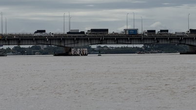 Ketinggian air di Sungai Dong Nai di beberapa tempat melebihi level alarm 2