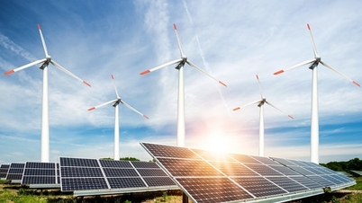 Les entreprises ont la possibilité d'accéder à des crédits verts assortis de taux d'intérêt préférentiels.