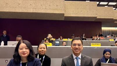 Die COP11 bekräftigt die Priorität des Schutzes junger Menschen vor den schädlichen Auswirkungen von Tabak der neuen Generation.