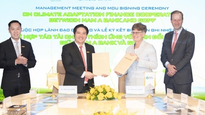 ন্যাম এ ব্যাংক এবং জিসিপিএফ ২০২৬ সাল থেকে জলবায়ু পরিবর্তন অভিযোজন আর্থিক কাঠামো অধ্যয়ন করছে