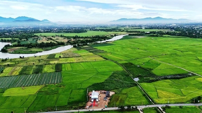Da Nang meminta izin lokasi yang "cepat dan tegas" untuk proyek kereta api berkecepatan tinggi