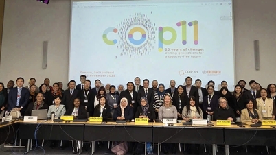 WHO: Das Konzept der „Schadensminderung“ zur Förderung neuer Tabakprodukte ist irreführend.