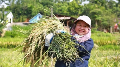 Chytré zemědělství s nízkými emisemi přizpůsobené terénu