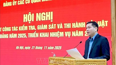 Consolidarea inspecției și supravegherii din partea celulelor de partid pentru a îmbunătăți capacitatea de avertizare și prevenire.