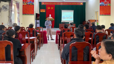 চিংড়ি চাষে জৈবপ্রযুক্তির প্রয়োগ