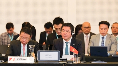 ກ່າວ​ຄຳ​ເຫັນ​ທີ່​ກອງ​ປະ​ຊຸມ​ສະ​ພາ CPTPP