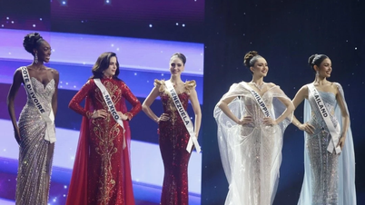 מיס יוניברס 2025: יפהפייה מקסיקנית מוכתרת, נציגת וייטנאם נותרה בידיים ריקות