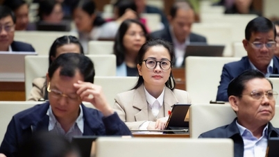 បទប្បញ្ញត្តិស្តីពីការរួមចំណែកដើមទុនដោយបច្ចេកវិទ្យាត្រូវការលក្ខណៈវិនិច្ឆ័យ វិធីសាស្រ្ត និងសិទ្ធិអំណាចច្បាស់លាស់។