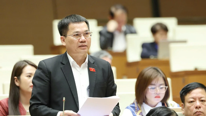 មានតែបទប្បញ្ញត្តិជាគោលការណ៍ស្តីពីលក្ខណៈវិនិច្ឆ័យអាទិភាពប៉ុណ្ណោះដែលគួរតែត្រូវបានបង្កើតឡើង ដើម្បីលើកទឹកចិត្តដល់ការផ្ទេរបច្ចេកវិទ្យា។