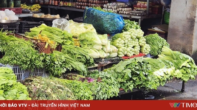 Floods have slightly reduced the amount of vegetables coming to Ho Chi Minh City, but prices have fluctuated strongly.