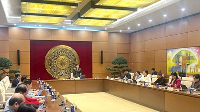 Överväg att reglera den nationella fonden för utveckling av artificiell intelligens