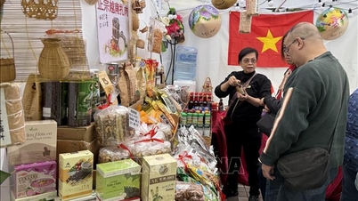 Просування в'єтнамської сільськогосподарської продукції на продовольчому ярмарку в Гонконзі