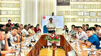 Jabatan Cukai Wilayah Gia Lai mengiringi isi rumah perniagaan dalam menukar cukai sekaligus kepada pengisytiharan.