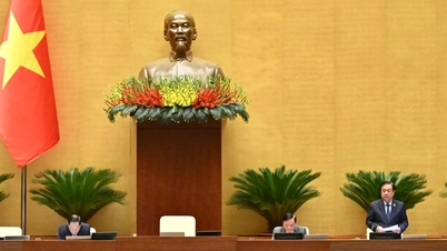 Пересмотреть и обеспечить последовательность и конкретность преференциальной политики.