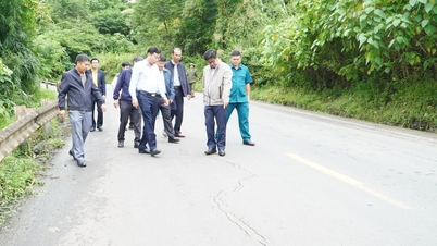 لام ڈونگ پراونشل پیپلز کونسل کے چیئرمین لو وان ٹرنگ نے نیشنل ہائی وے 28 پر نیچے جانے کا سروے کیا۔