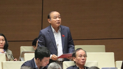 Заохочувати застосування та тестування високотехнологічної продукції та стратегічних технологій.