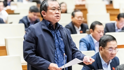 Вимога «стандартизації» для контролю якості імпортованих технологій