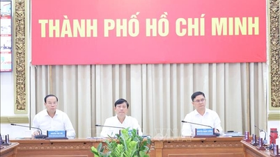 Хошимин: проведение выборов депутатов 16-го Национального собрания и Народных советов всех уровней на новый срок