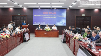 Da Nang: Contribuții cu idei pentru finalizarea Proiectului privind Transformarea Digitală, Inovația, Știința și Tehnologia