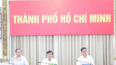 হো চি মিন সিটি ১৬তম জাতীয় পরিষদের ডেপুটিদের নির্বাচন পরিচালনা করে।