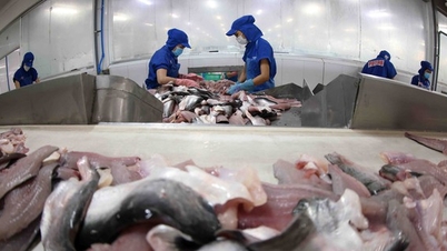 Szabványok – A termelékenység és a minőség javítása az akvakultúra-ágazatban