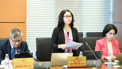 Ενδυνάμωση των πανεπιστημίων για άνοιγμα ειδικοτήτων και ανάπτυξη διδακτικού προσωπικού Τεχνητής Νοημοσύνης