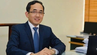 Der Vorsitzende eines Universitätsrats wird zum reichsten Professor in Vietnam